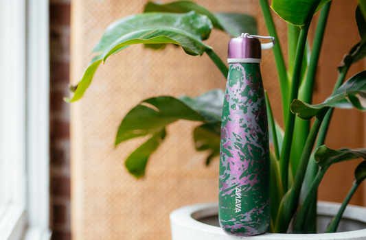 Avana Ashbury Bottle placed on a large white pot holding a Birds of Paradise plant.